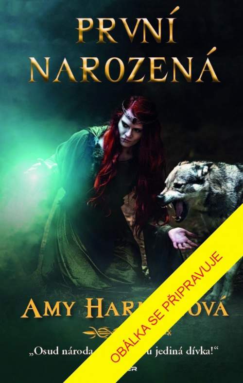 První narozená - Amy Harmon