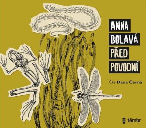 Anna Bolavá - Před povodní CD