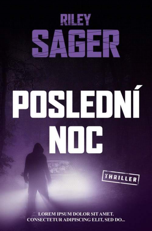 Poslední noc - Riley Sager