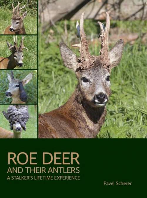 Roe Deer and their Antlers -- A Stalker´s lifetime experience