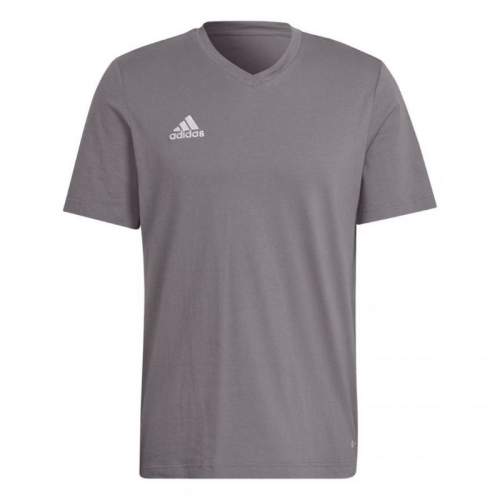 Pánské tričko Adidas Entrada 22 Tee M HC0449