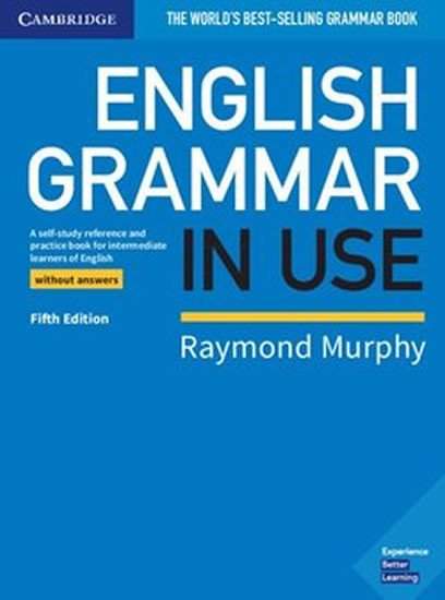 English Grammar in Use Book without Answers 5E - Murphy Raymond