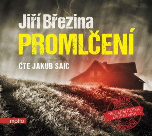 Promlčení (audiokniha) - Jiří Březina