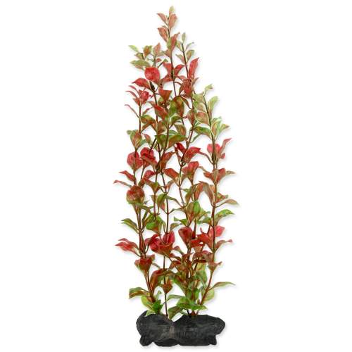 TETRA Rostlina Red Ludwigia L 30 cm (1ks)