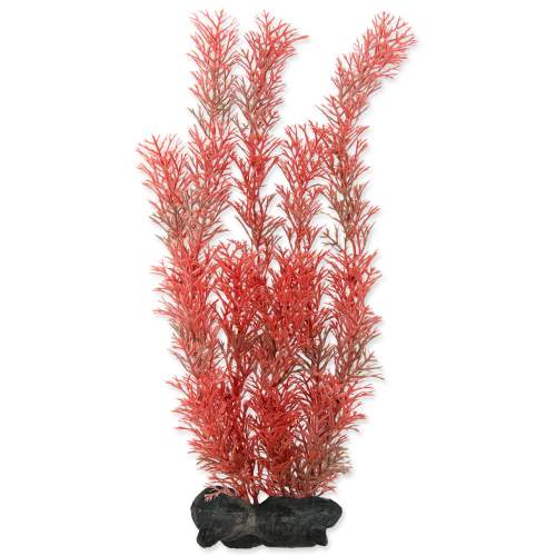 TETRA Rostlina Red Foxtail L 30 cm (1ks)