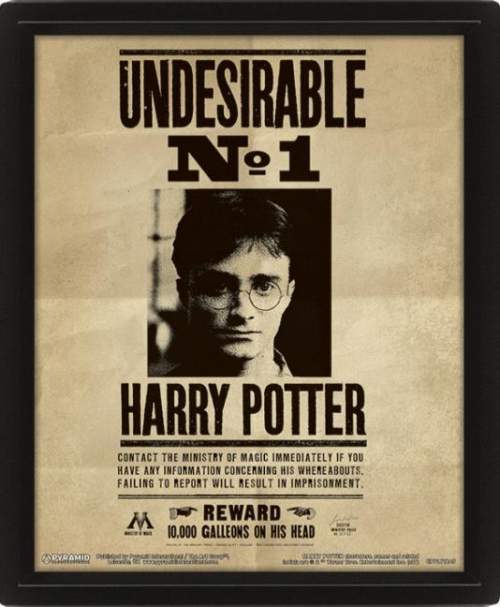 Epee Harry Potter Obraz 3D Sirius Black
