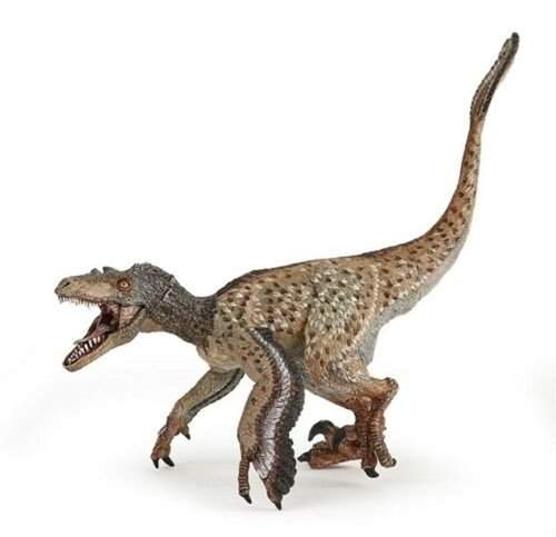 Velociraptor mládě