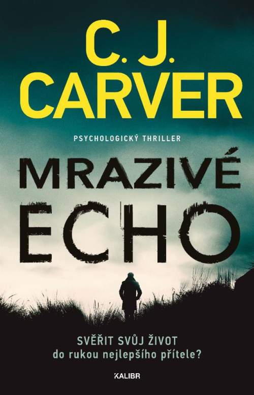 Mrazivé echo (Psycholog Harry Hope 1) - Carver C.J. [E-kniha]