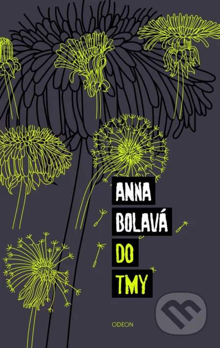 Do tmy - Bolavá Anna [E-kniha]