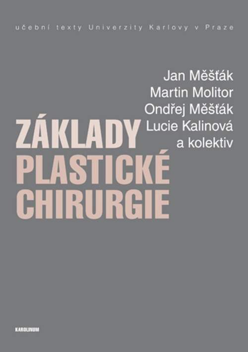 Základy plastické chirurgie - Jan Měšťák, Martin Molitor, Ondřej Měšťák, Lucie Kalinová a kolektiv
