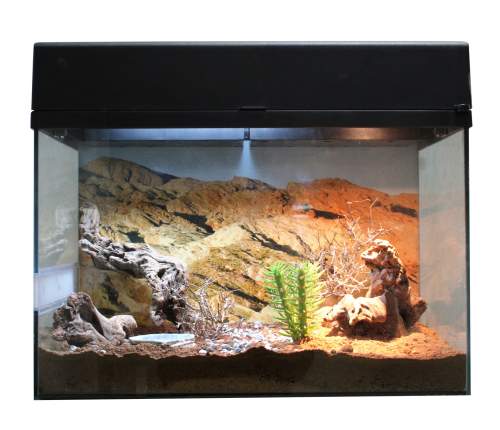 Lucky Reptile Starter Kit Desert Gecko 50x28x40 cm bílé