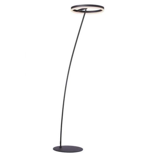 Designová stojací lampa tmavě šedá včetně LED a stmívače - Damir