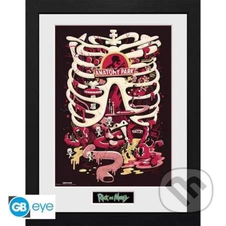 Rick and Morty Zarámovaný plakát - Anatomy Park