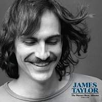 TAYLOR, JAMES - GREATEST HITS (1 LP / vinyl)