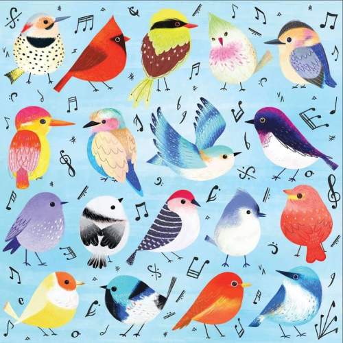 Mudpuppy Puzzle Zpívající ptáci 500 dílků