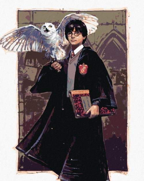 Zuty Malování podle čísel Harry Potter a Hedvika v Bradavicích