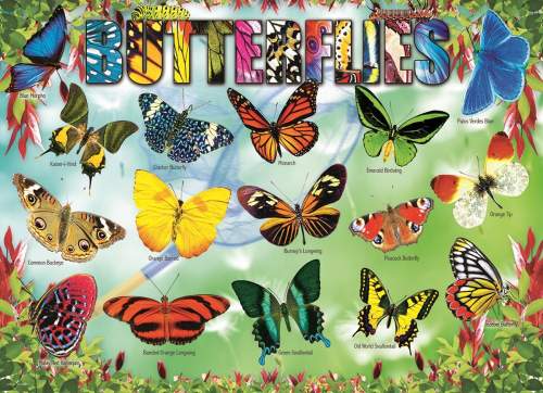 EUROGRAPHICS Puzzle Zahradní motýli 100 dílků