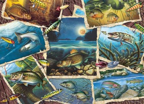 COBBLE HILL Puzzle Obrázky ryb 1000 dílků