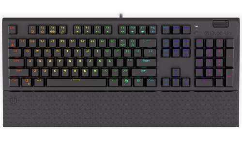 Endorfy herní klávesnice Omnis Kaihl BR RGB / USB / brown switch / drátová /mechanická/US layout/černá RGB, EY5A029