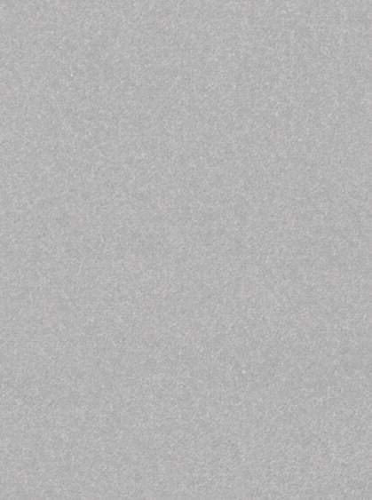 Hanse Home Collection koberce Kusový koberec Nasty 101595 Silber Rozměry koberců: 80x200