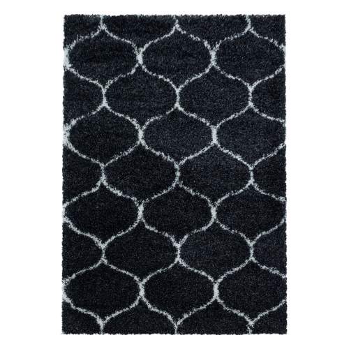 Ayyildiz koberce Kusový koberec Salsa Shaggy 3201 anthrazit - 60x110 cm Černá, Velké (190x270 cm a větší), Syntetický (umělý)