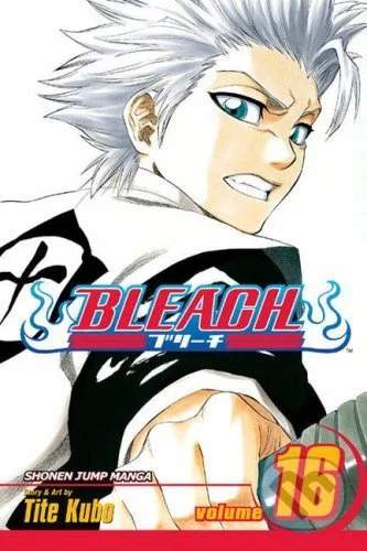 Bleach 16 (anglicky) - Noriaki Kubo