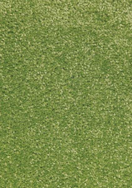 Hanse Home Collection koberce Kusový koberec Nasty 101149 Grün Rozměry koberců: 160x240