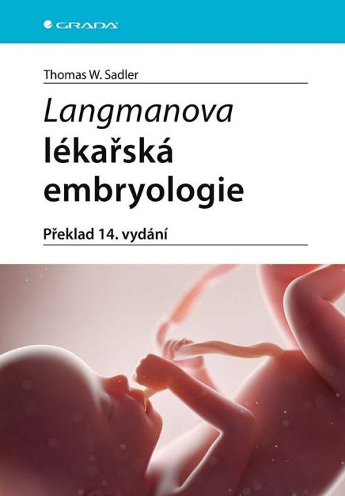 Sadler W. Thomas - Langmanova lékařská embryologie