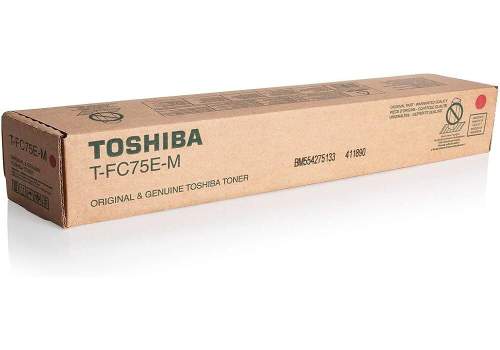 TOSHIBA T-FC75E-M originální
