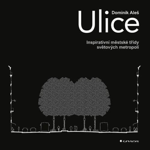 Aleš Dominik - Ulice