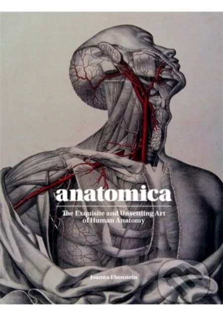 Anantomica - Joanna Ebenstein