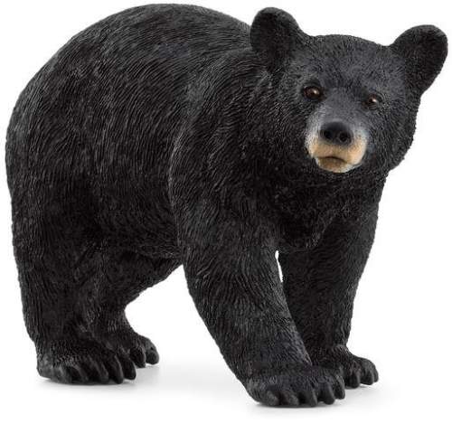 Schleich Medvěd černý 14869