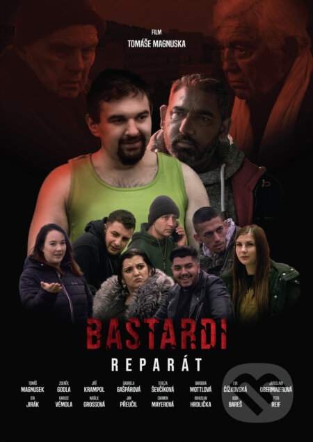 MULTILAND Bastardi: Reparát - DVD