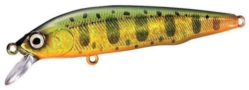 Shimano Wobler Cardiff Flügel Flat Floating 7cm Barva: Gold Yamame