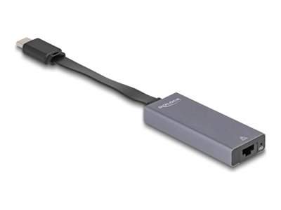 Delock - Síťový adaptér - USB-C 3.2 Gen 1 - 2.5GBase-T x 1 - antracit (8466736-21)