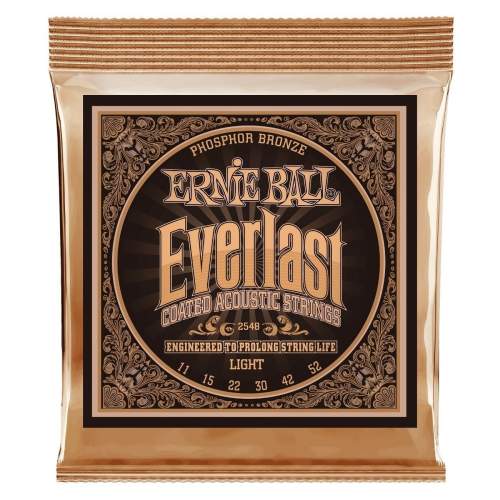 Ernie Ball 2548 Everlast Phosphor Bronze Light