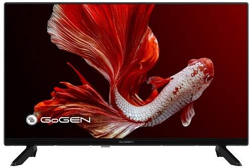 Gogen TVH 32P359ST