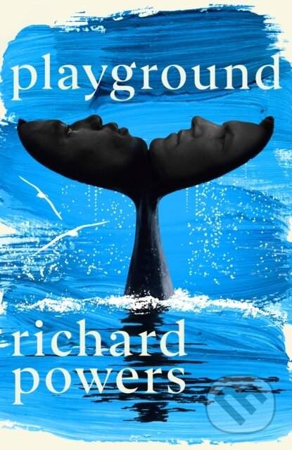 Hutchinson Playground - Richard Powers