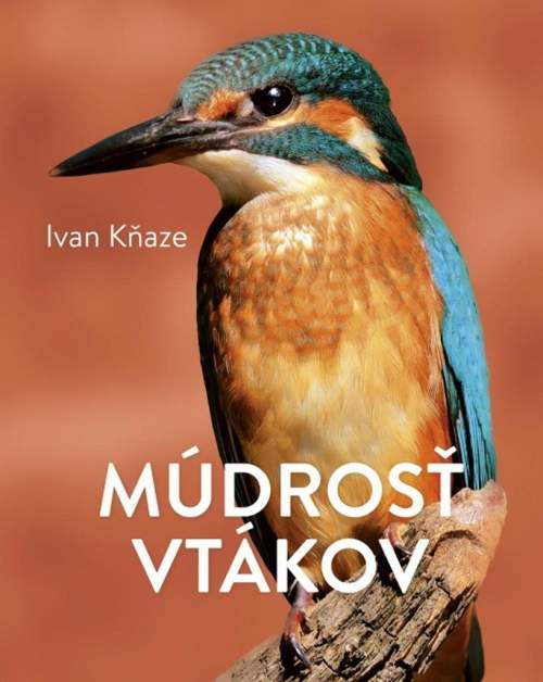Múdrosť vtákov - Ivan Kňaze