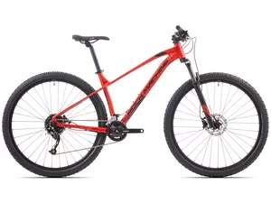 Rock Machine Torrent 20-29 2024