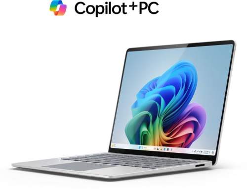 Microsoft ZGP-00024 Platinová