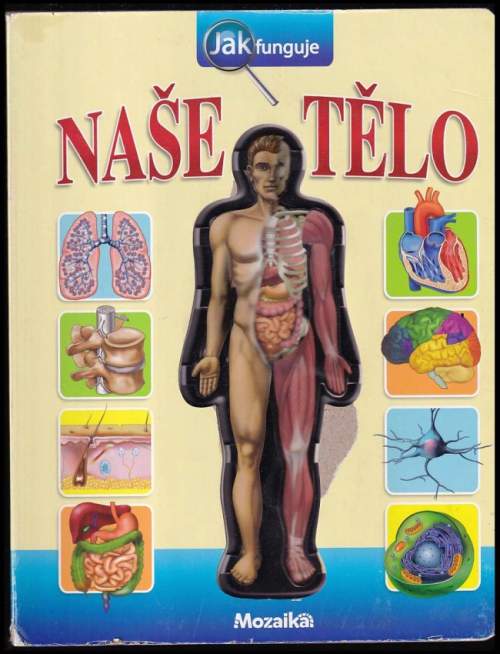 Jak funguje naše tělo? - INFOA