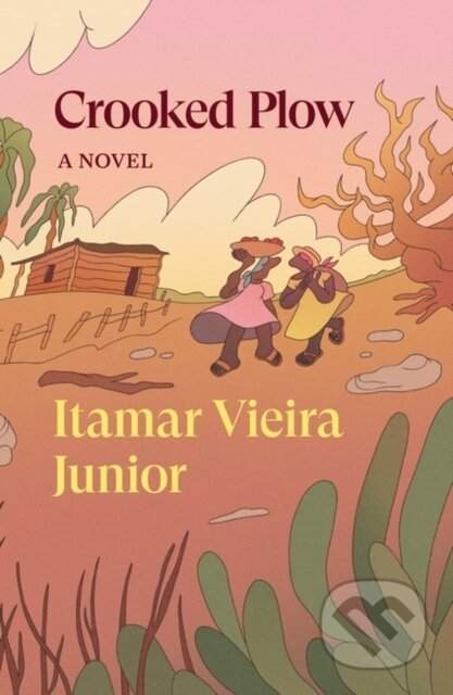 Crooked Plow - (Junior Itamar Vieira)(Paperback)
