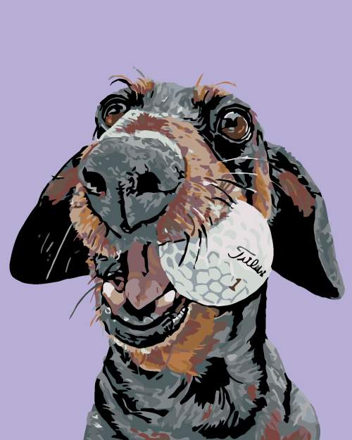 Zuty - Malování podle čísel - PES S GOLFOVÝM MÍČKEM 40x50 cm vypnuté plátno na rám