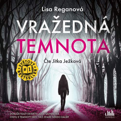 Vražedná temnota - Lisa Regan