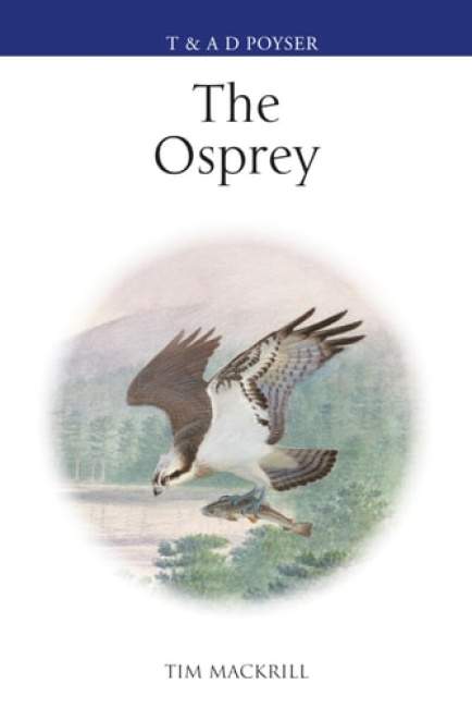 Osprey - (Mackrill Tim (Author))(Pevná vazba)