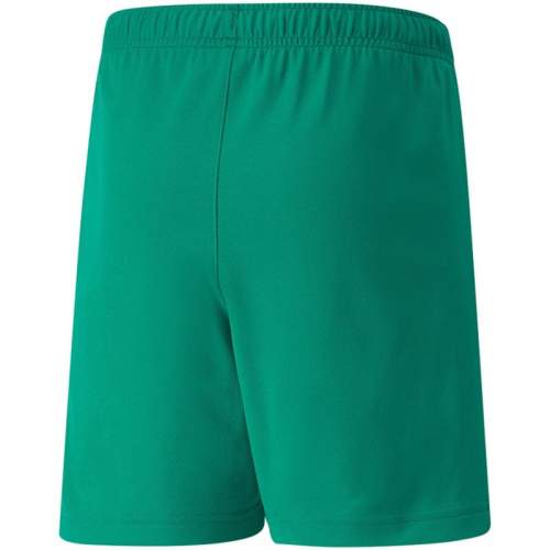 Puma TEAMRISE SHORTS Juniorské šortky, zelená, velikost