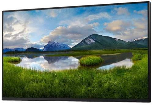 Dell 24" P2425H Professional Bez stojanu